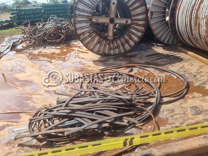 WhatsApp Image 2025-11-07 at 12.53.57 PM (1).jpg